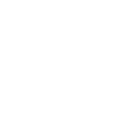verniciatura a solvente bianco